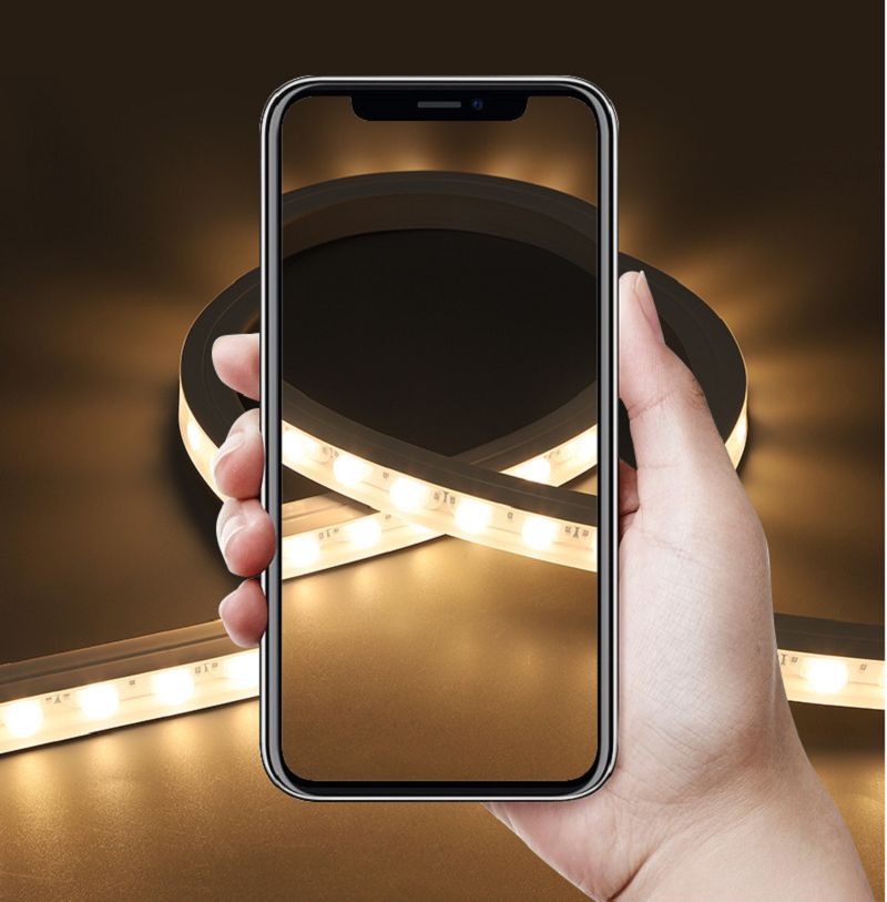 1616 LED Flexible Wall Washer