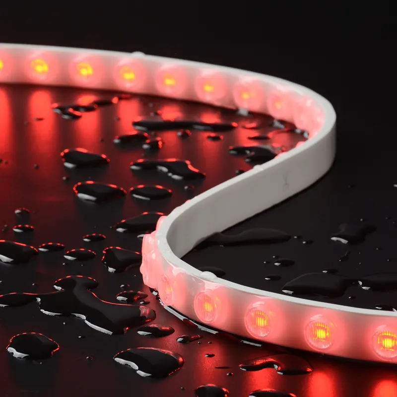 2010 LED Flexible Wall Washer