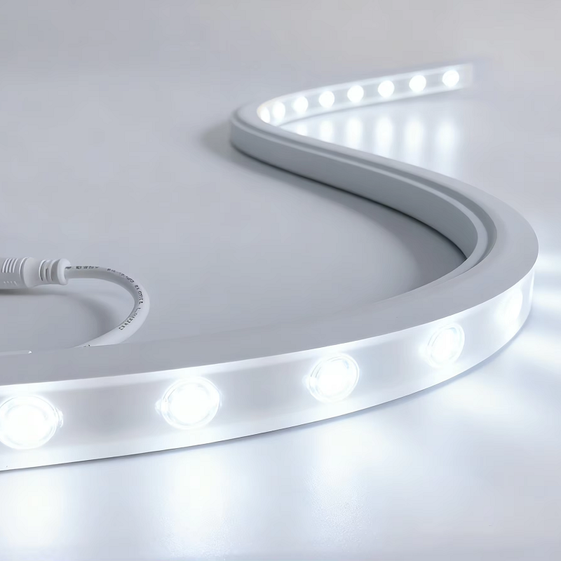 3D 2527 LED Flexible Wall Washer