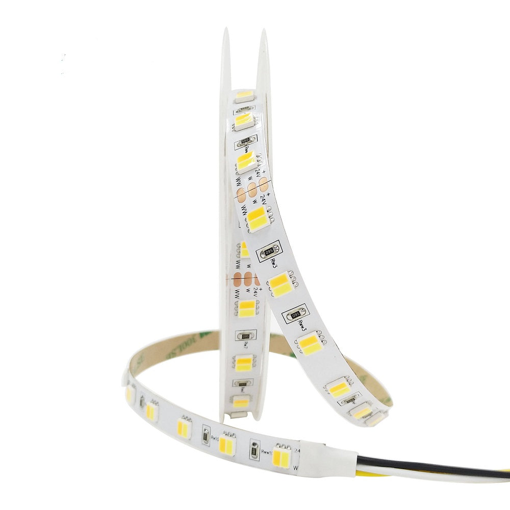 SMD3838 dual color LED strip